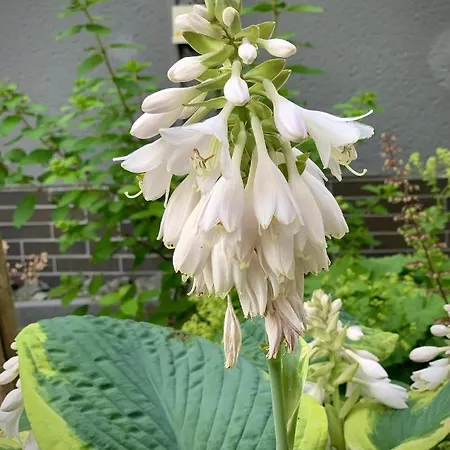 4-Studios דירה Cölbe