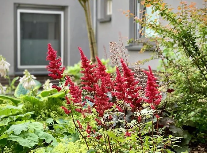 4-studios Апартаменты *