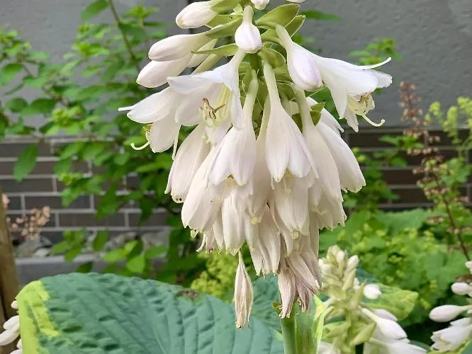 4-studios Apartmán Cölbe